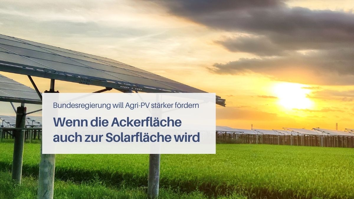 Agri Photovoltaik